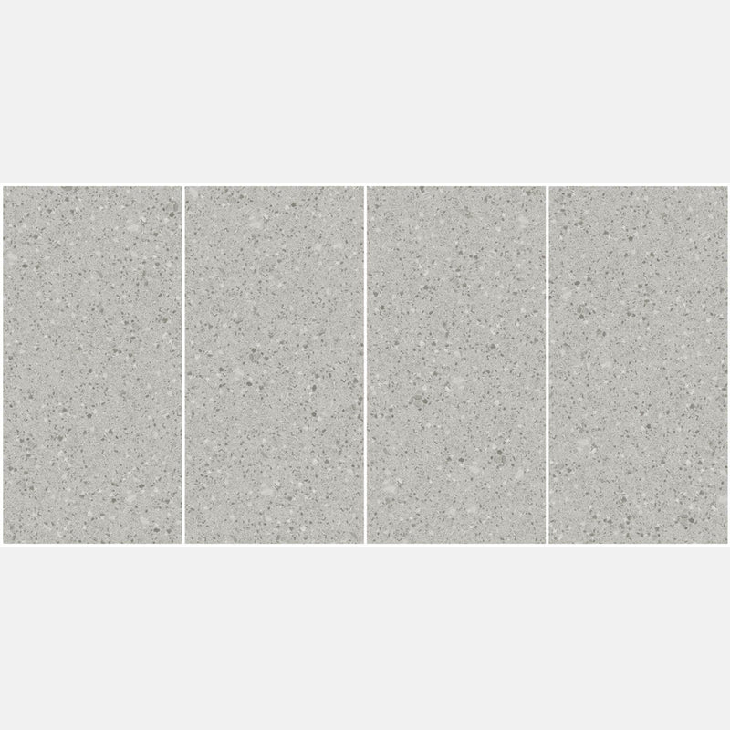 Tile | 600x1200 | terrazzo | JH12709