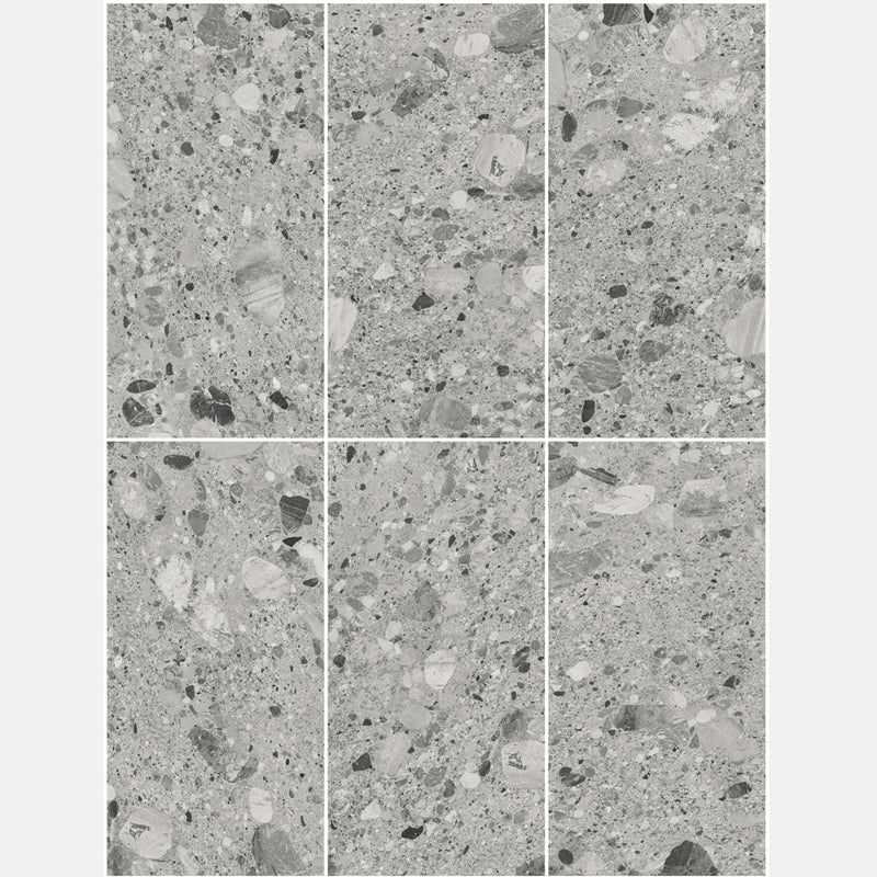 Tile | 600x1200 | terrazzo | JH12710