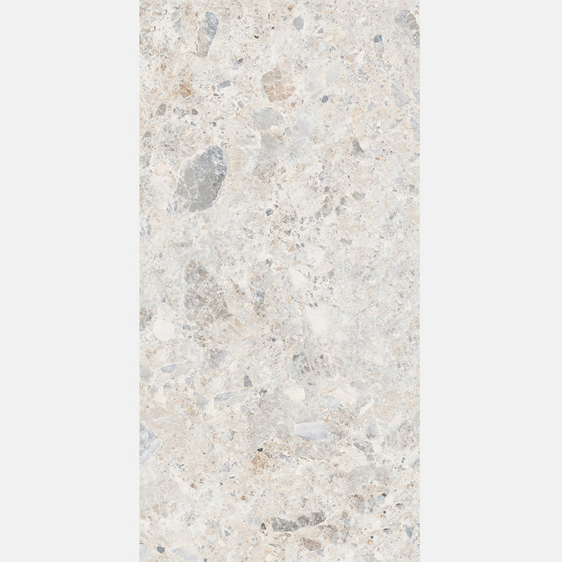 Tile | 600x1200 | Terrazzo | MF12601